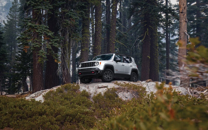 Jeep Wave- Rengade